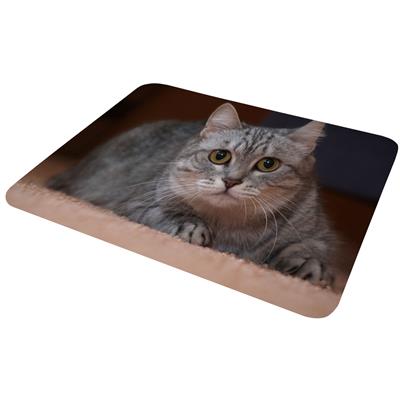 ماوس پد مدل mp920