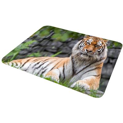 ماوس پد مدل mp892