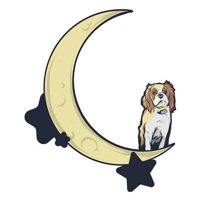 استیکر لپ تاپ وی وین آرت طرح ماه و سگ کد p104