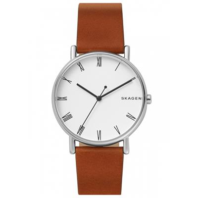 ساعت مچی عقربه ای مردانه اسکاژن دانمارک مدل skw6427