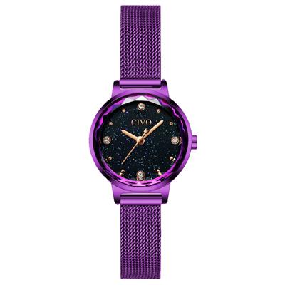 ساعت مچی عقربه ای زنانه سیوو مدل 8024p