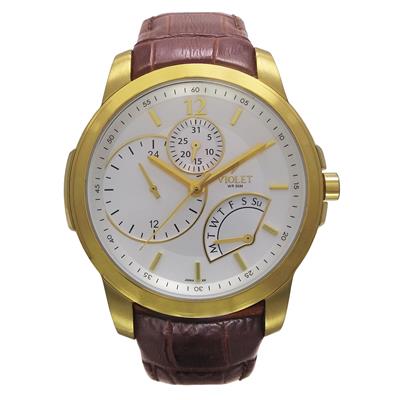 ساعت مچی عقربه ای مردانه ویولت کد 0201g 2