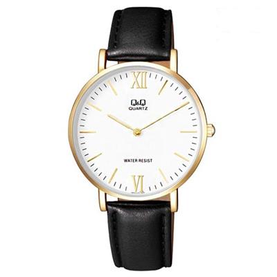 ساعت مچی عقربه ای مردانه کیو اند کیو مدل q974j121y