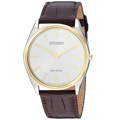 ساعت مچی عقربه ای مردانه سیتی زن مدل ar3074 03a