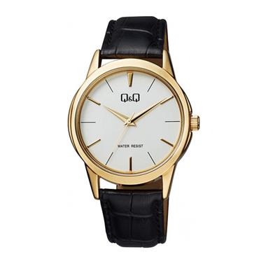 ساعت مچی عقربه ای مردانه کیو اند کیو مدل q860j101y