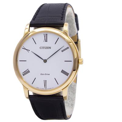 ساعت مچی عقربه ای مردانه سیتی زن مدل ar1113 12b