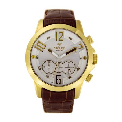 ساعت مچی عقربه ای مردانه ویولت مدل 0244g