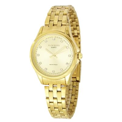 ساعت مچی عقربه ای زنانه لاروس مدل 0118 80228 به همراه دستمال مخصوص برند کلین واچ