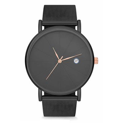 ساعت مچی عقربه ای مردانه آکوا دی پولو مدل 95h02